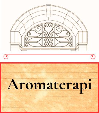 AROMATERAPİ - 29.11.2025 CUMARTESİ SAAT:16.00-17.00